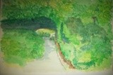 by Allison Williams Hill