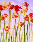 by Tracy  Ryan