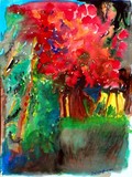 by Don Schaeffer