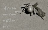 by brigette hollenbeck