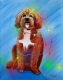 by Judy Petett