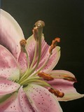 by Michele Kurtz