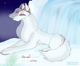 by Allison Liu