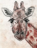 by Dana Koffenberger