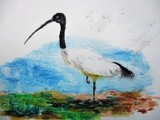 by Abhishek Rammohan