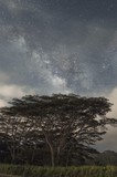 by David Beckemeier