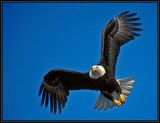 by Harry Eggens