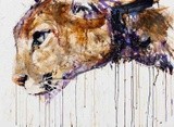 by Ayushi Rana