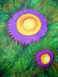 by Surekha  Rao