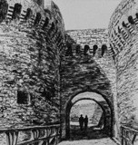 by Predrag Milosevic Pedja