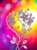 by Mihaela B