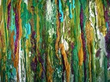 by Dawn Hough Sebaugh