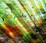 by Emilio B. Campo-Diaz