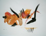 by Emilio B. Campo-Diaz