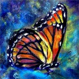 by Elizabeth Teed