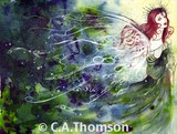 by Charlotte Anne Thomson