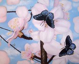 by Kelli Sparks