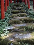 by Junji Takemoto