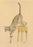 by Fiona Hooper