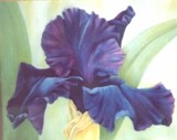 by Janet Diederich