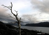 by Randy McCullough