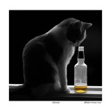 by Ghislain Cormier