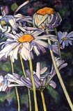 by Caroline A. Doucette