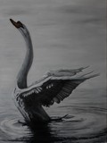by rodney shortsleeve