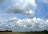 by Nelly van Nieuwenhuijzen