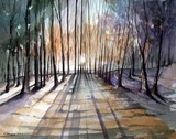 by marcel reynaert