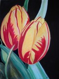 by Cynthia DeMaio
