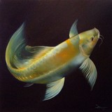 by Ambrus Diossy