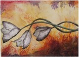by Christy LaRoy