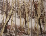 by diane  jennings