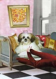 by Moira McLaughlin