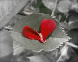 by Kandice Thompson
