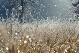 by VELYKIO - gintautas velykis -