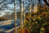 by VELYKIO - gintautas velykis -