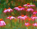 by Ileen Kaplan