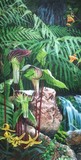 by Kathy Kelly