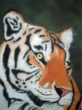 by Lori Wadsworth