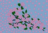 by Dragica Ohashi