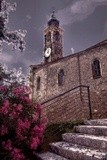 by gianantonio zago marino