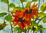 by David Hettinger