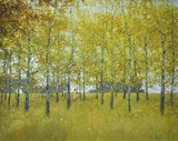 by David Hettinger