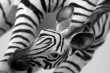 by Christina Beith