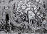 by mariusz zawadzki