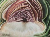 by Cathy Savels