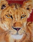 by Wendi Evans