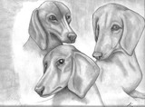 by Keisha Acrey